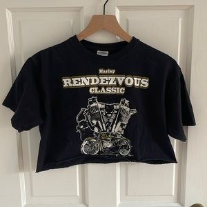 Harley Motorcycle crop